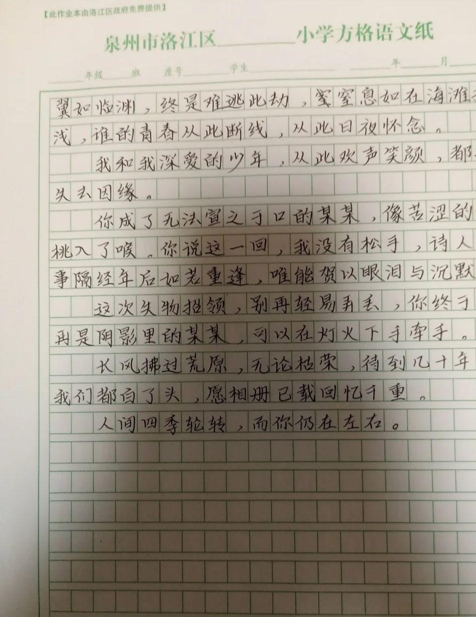 凤头猪肚是什么生肖全面释义、专家解答解释落实